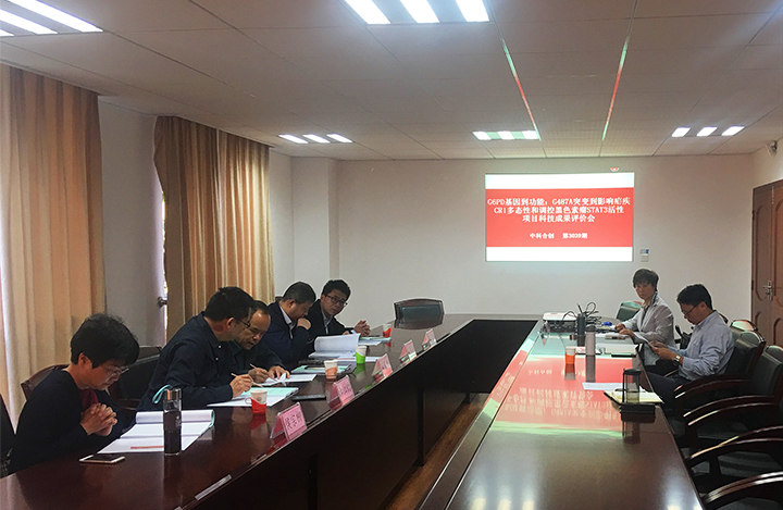 G6PD基因G487A位点突变调控黑色素瘤增殖的分子机制 anli.jpg